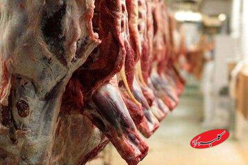 بعد از ۴ سال مصرف گوشت افزایشی شد/ جزییات