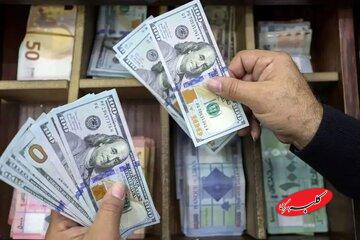 قیمت دلار، یورو و سایر ارزها امروز ۶ دی/ قیمت دلار عجیب شد