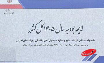 انتقاد روزنامه رئیس شورای اطلاع رسانی دولت از لایحه بودجه/ نه شفاف است نه حلال مشکلات/ شرکتهای دولتی و شبه دولتی همچنان پول می خورند