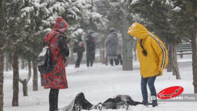 برف سامانه بارشی زمستان