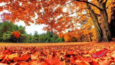 شمارش معکوس برای ورود سنگینترین سامانه بارشی به کشور/بارشهای نیرومند این استانها را فرا میگیرد