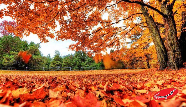 شمارش معکوس برای ورود سنگین‌ترین سامانه بارشی به کشور/بارش‌های نیرومند این استان‌ها را فرا می‌گیرد