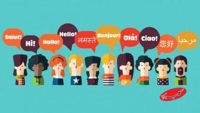 10 تا از زیباترین زبانهای ۲۰۲۵ اعلام شد / جایگاه ویژه زبان فارسی