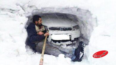 این استانها امسال بیشترین بارش برف را تجربه خواهند کرد+ نقشه