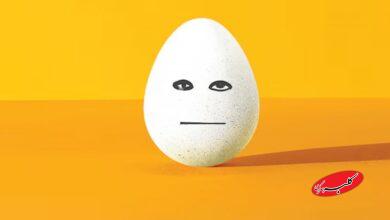 قیمت جدید تخم مرغ اعلام شد+ جزییات