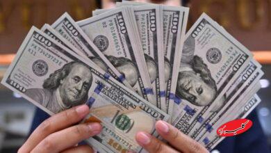 دلار در مرز 130هزار تومان؛ دولت دقیقاً کِی میخواهد ورود کند؟