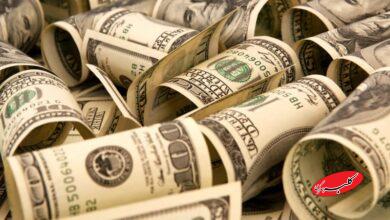 پشتپرده افزایش قیمت دلار/ دولت کشور را کاملا رها کرده، مراقب چمنها و چراغهای پاستور است!