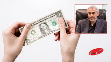 وزیر اقتصاد درباره افزایش قیمت دلار چه گفت؟/ توضیحات مهم مدنیزاده را بخوانید