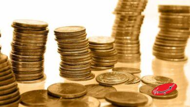 اعلام جزئیات آخرین پیشفروش سکه امسال