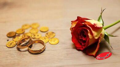 وزیر دادگستری: مهریه قرار نیست ۱۴ سکه شود