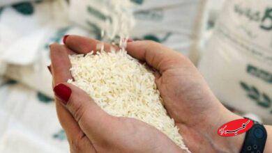 قیمت انواع برنج در بازار رسمی اعلام شد