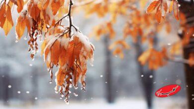 هشدار فوری در چند استان کشور صادر شد / سامانه بارشی سنگین دوباره برمیگردند