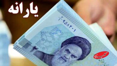 مبلغ یارانه در سال 1405 اعلام شد + جدول