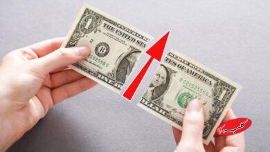 قیمت دلار، یورو و سایر ارزها امروز ۳ دی/ قیمت از ۱۳۵ هزار تومان بالاتر رفت