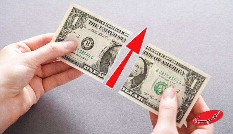 قیمت دلار، یورو و سایر ارزها امروز ۳ دی/ قیمت از ۱۳۵ هزار تومان بالاتر رفت
