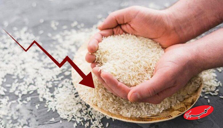 فوری/ سقوط قیمت برنج هندی آغاز شد