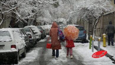 صدور ۳ هشدار جدید هواشناسی؛ کاهش شدید دما و بارش برف سنگین در این استان ها