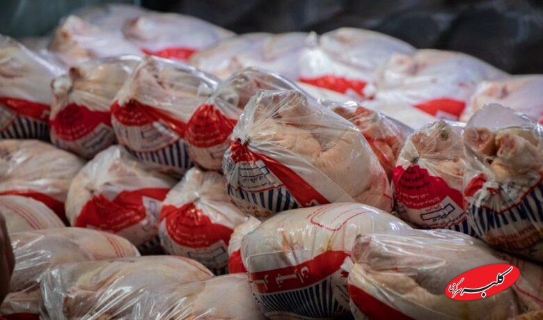 آغاز توزیع مرغ منجمد در تهران + قیمت