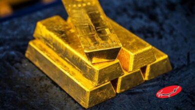 کولهپشتی طلایی لو رفت؛ پلیس ۲۵ قطعه شمش کشف کرد