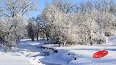 بارش برف و باران ۲۸ استان کشور را دربرمیگیرد