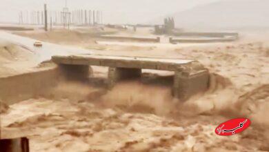 این پل مهم بر اثر سیلاب ویران شد؛ مردم از مسیرهای جایگزین تردد کنند+ فیلم