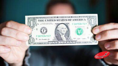 هشدار جدی یک کارشناس در خصوص سیاستهای ارز