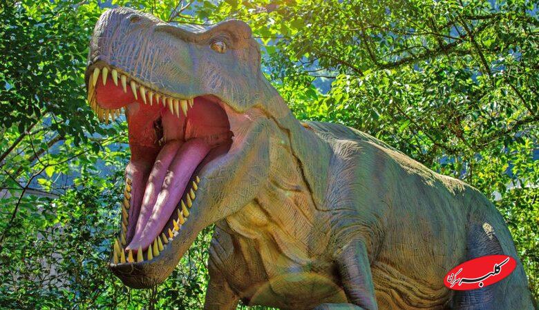 تخم دایناسور ۷۰ میلیون ساله پر از بلور بود! + عکس