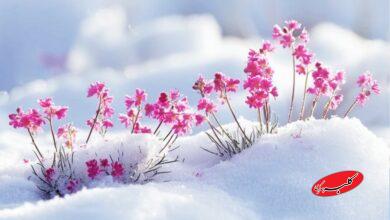 هشدار بارش سیلآسا و کولاک در این استان؛ فردا سردترین روز سال است