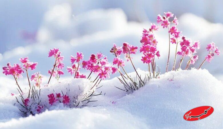 هشدار بارش سیلآسا و کولاک در این استان؛ فردا سردترین روز سال است