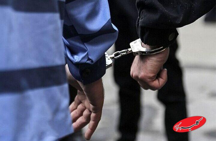 داماد با لباس زنانه جواهرات ۲۰ میلیاردی برادرزن را سرقت کرد