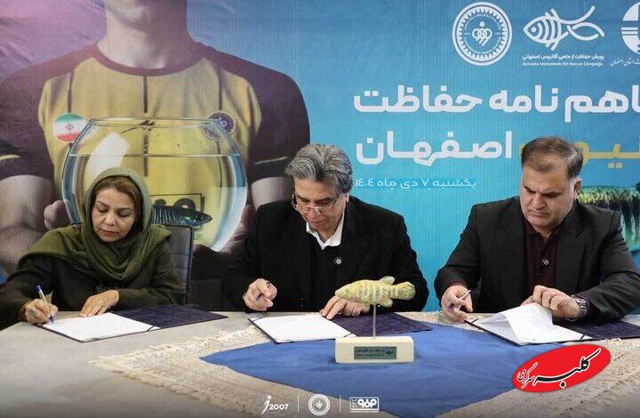 تفاهمنامه همکاری سپاهان و اداره کل محیط زیست برای حفاظت از ماهی در حال انقراض آفانیوس