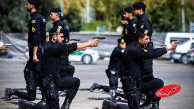 هشدار گزارشگر صداوسیما به اوباش: مراقب باشید ویلچرنشین نشوید! +ویدیو