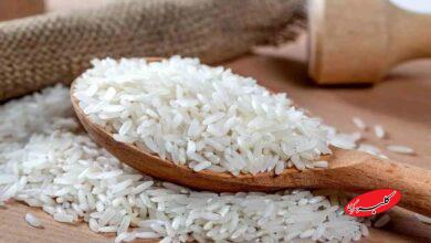 کارشناس صداوسیما: برنج گران شده مردم جو بخورند! +ویدیو