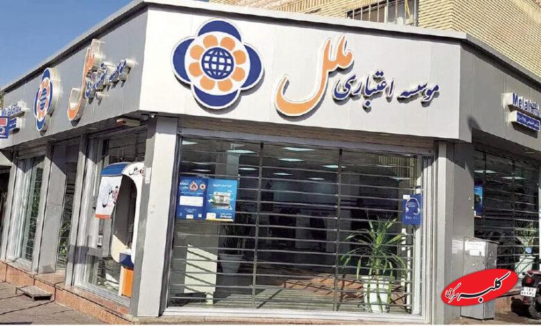 سخنگوی قوه قضاییه بازداشت مدیرعامل سابق موسسه ملل را تایید کرد