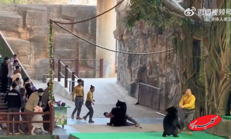 ۴۶ ثانیه فیلم نفسگیر از حمله خرس به کارگر باغوحش!