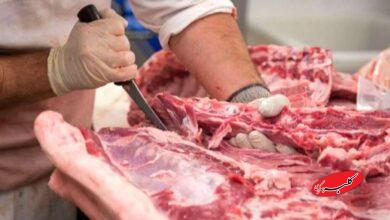 جزئیات تکاندهنده از کشف ۳ تن گوشت الاغ در تهران +ویدیو