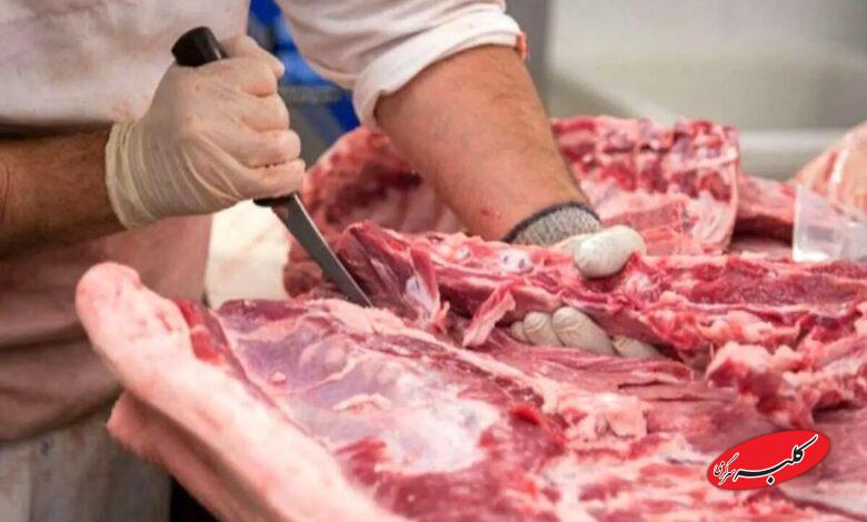 جزئیات تکاندهنده از کشف ۳ تن گوشت الاغ در تهران +ویدیو