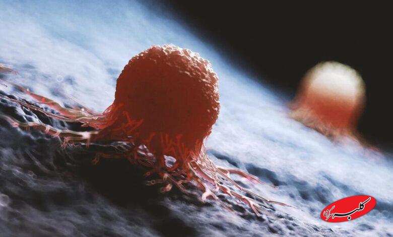 غذاهای ناسالمی که خطر ابتلا به این بیماری هولناک را افزایش میدهند