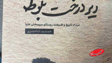 کتاب زیر درخت بلوط