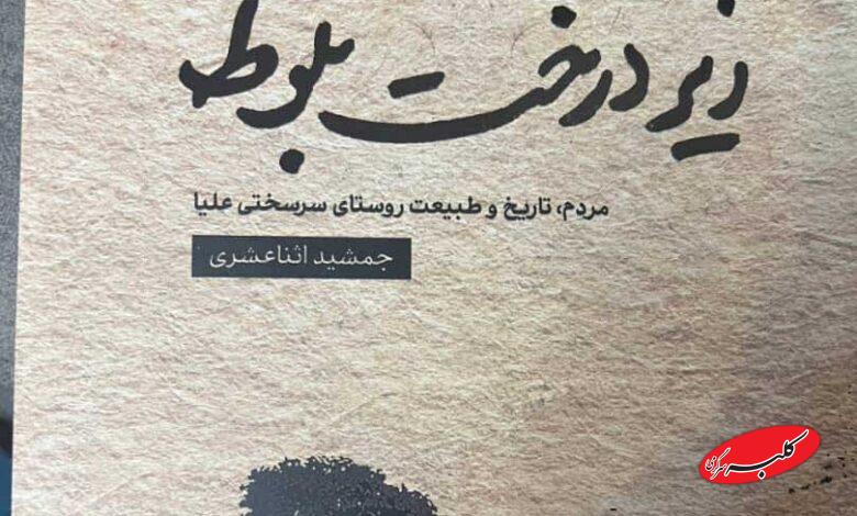 کتاب زیر درخت بلوط