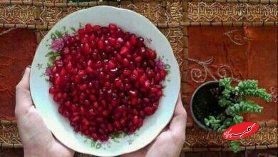 خوراکی های شب یلدا