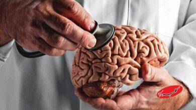 مغز جوان‌تر می‌خواهید؟ این توصیه‌ها را رعایت کنید