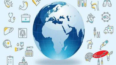 از بزرگی شکم مردان و مشکلات قلبی تا ارتباط سلامت مغز با عملکرد کلیهها