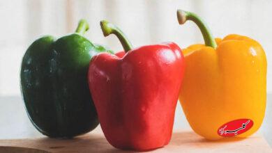 bell pepper - فلفل دلمه ای