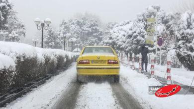تهران با بارش برف سپید پوش شد