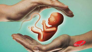 شعار فرزند کمتر، زندگی بهتر، بر الگوهای فرزندآوری اثر گذاشته است