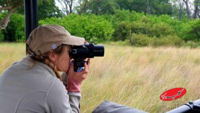 در سفر از تنهايي لذت ببريد
