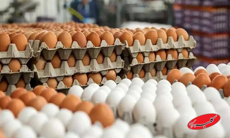 تخم مرغ