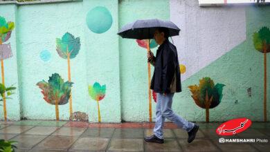 تصاویر بارش باران پاییزی در تهران