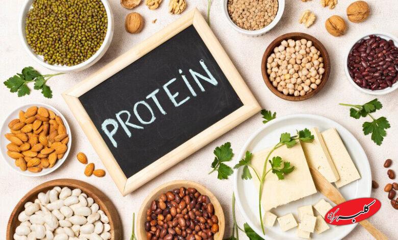 چگونه در خانه پودر پروتئین بسازیم